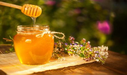 Пчелиный мед, чем полезен. Как определить качественный мед. Сорта меда и их целебные свойства
