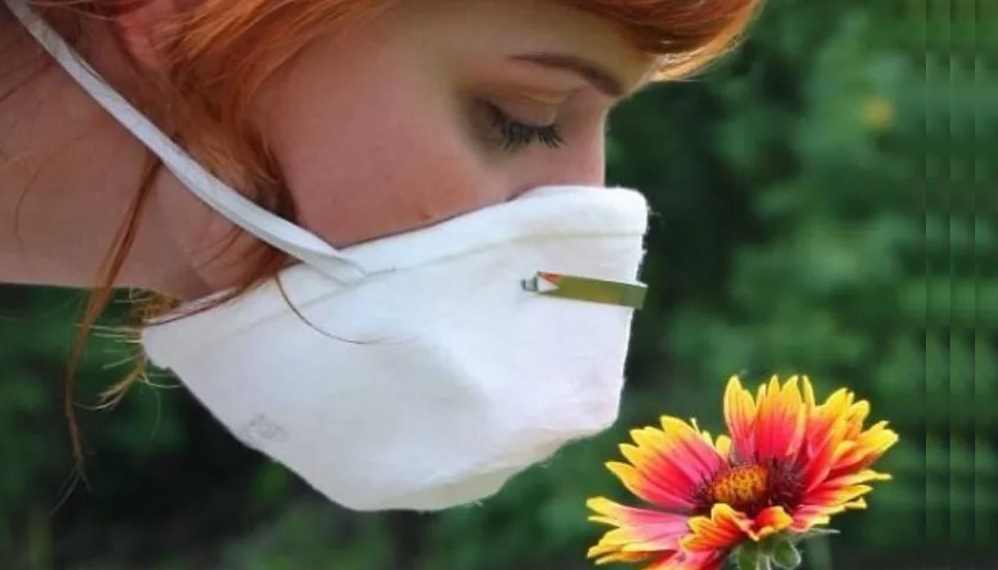Аллергия на цветение. Записная книжка аллергика: календарь цветения на лето