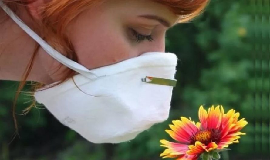 Аллергия на цветение. Записная книжка аллергика: календарь цветения на лето